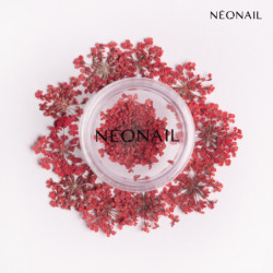 Květinová Dekorace 08| 11089 Květinová Dekorace 08| 11089